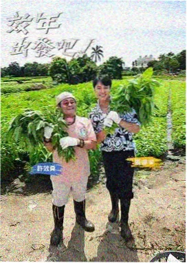 星辰影院 奔跑吧